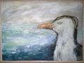 birdx600